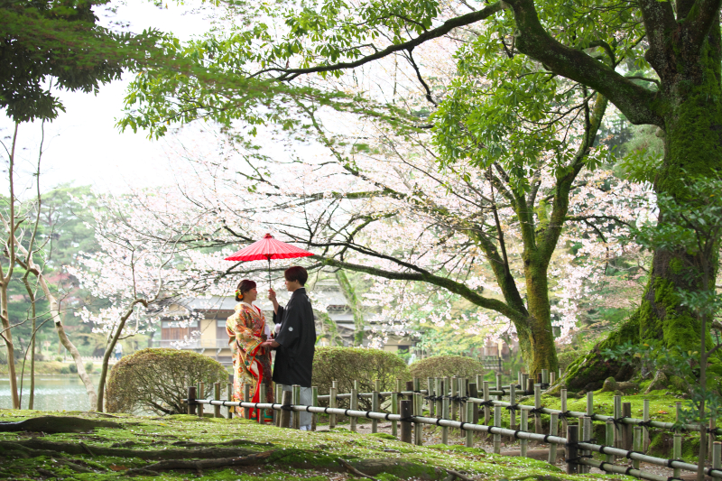 コントラストが美しい…