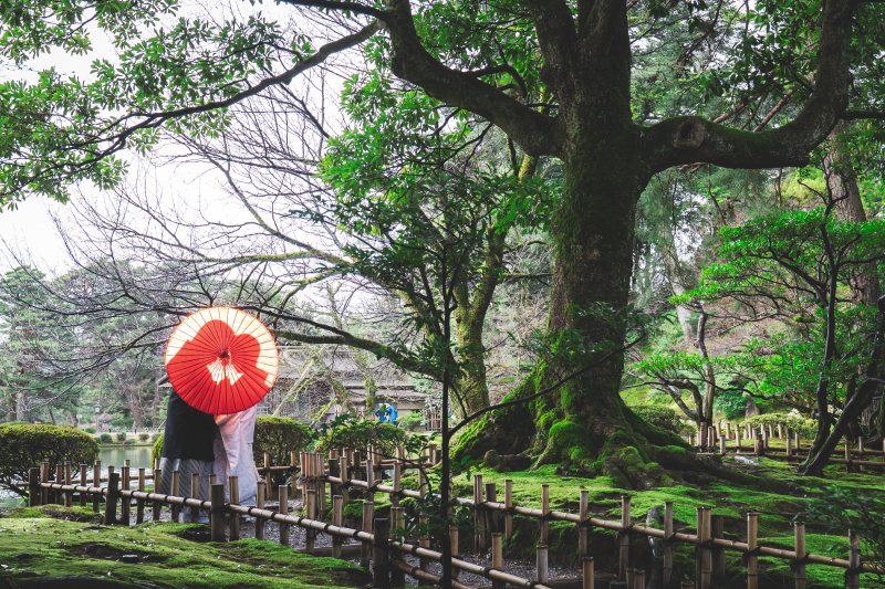 傘に映るシルエット
