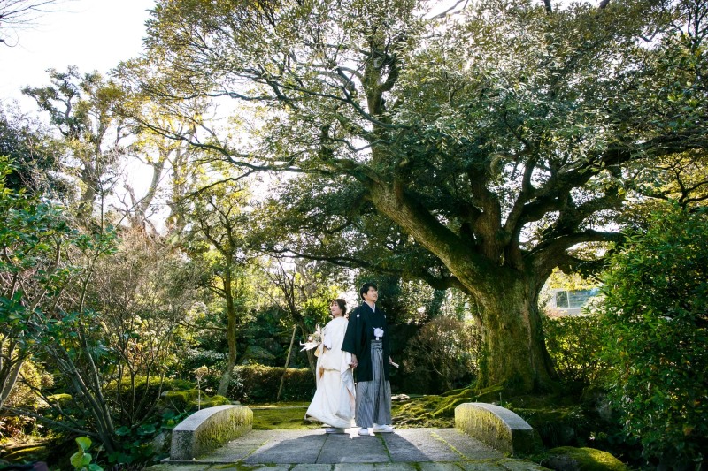 きりっとした1枚