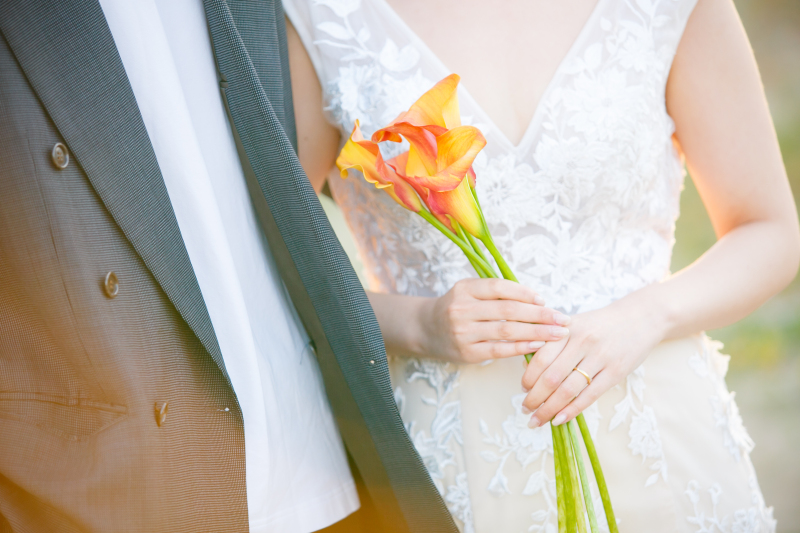 イメージカット