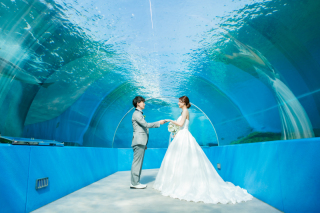 水族館で幻想的に