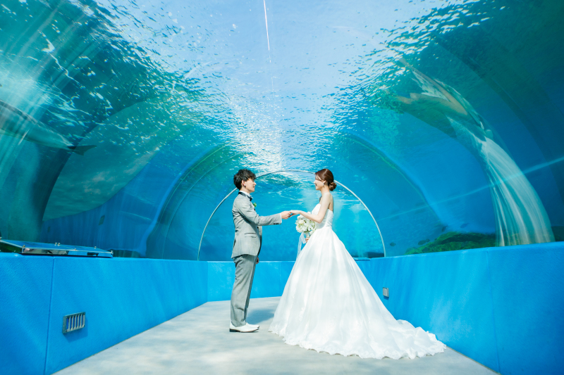 水族館で幻想的に