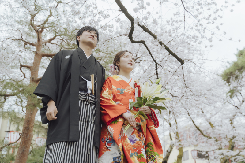 満開の桜を見上げて