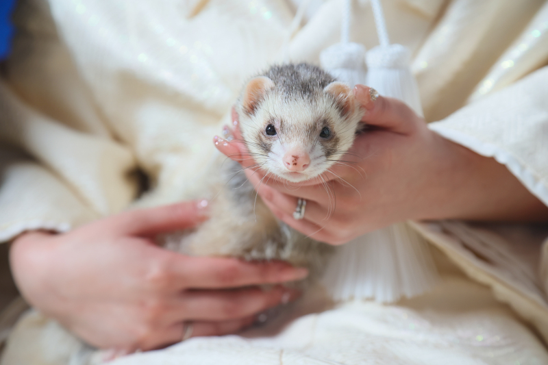 おめでとう♡♡