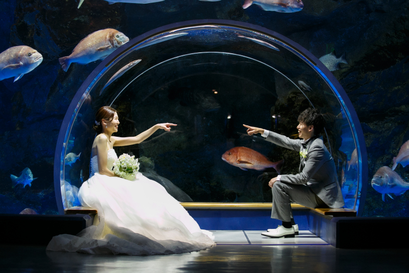 魚たちに囲まれて♡