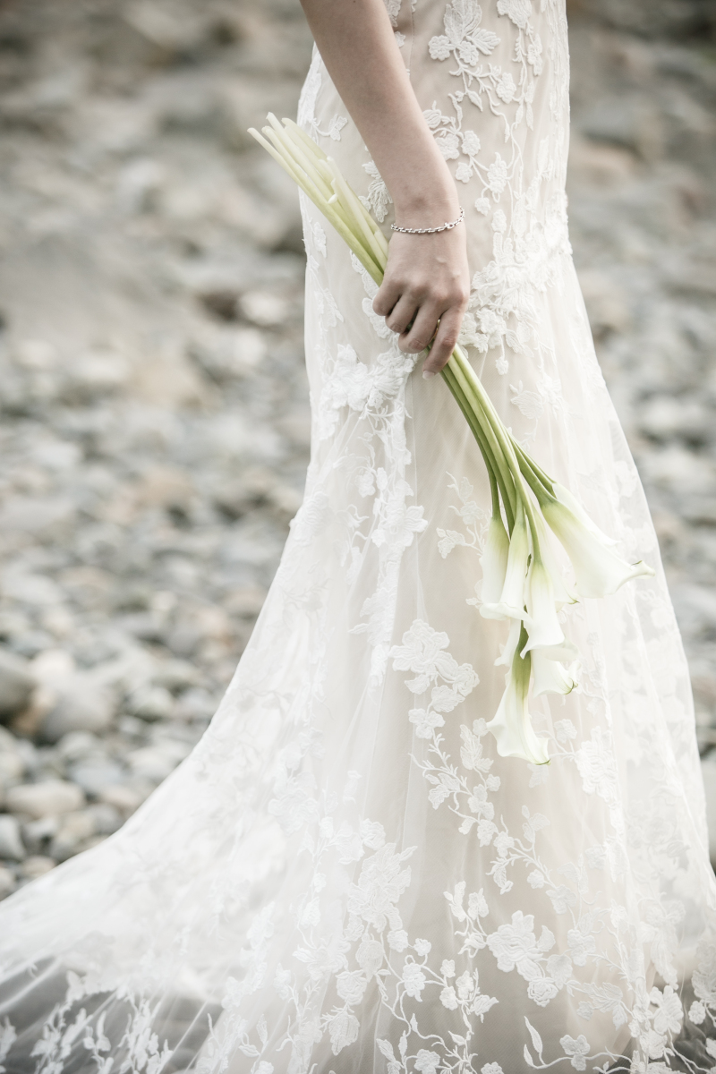 イメージカット