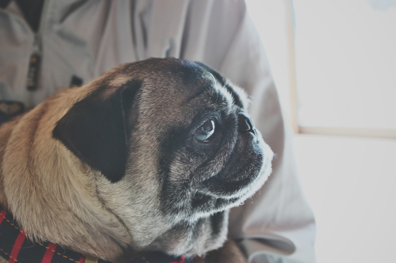 オフショット☆