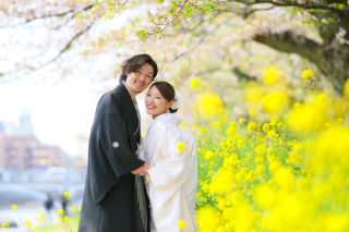 大きな桜の木の下で