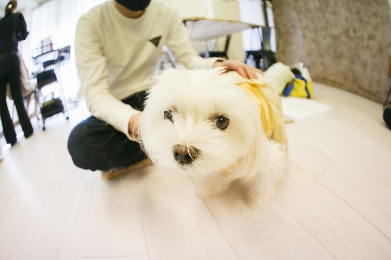 洋装お支度中は…