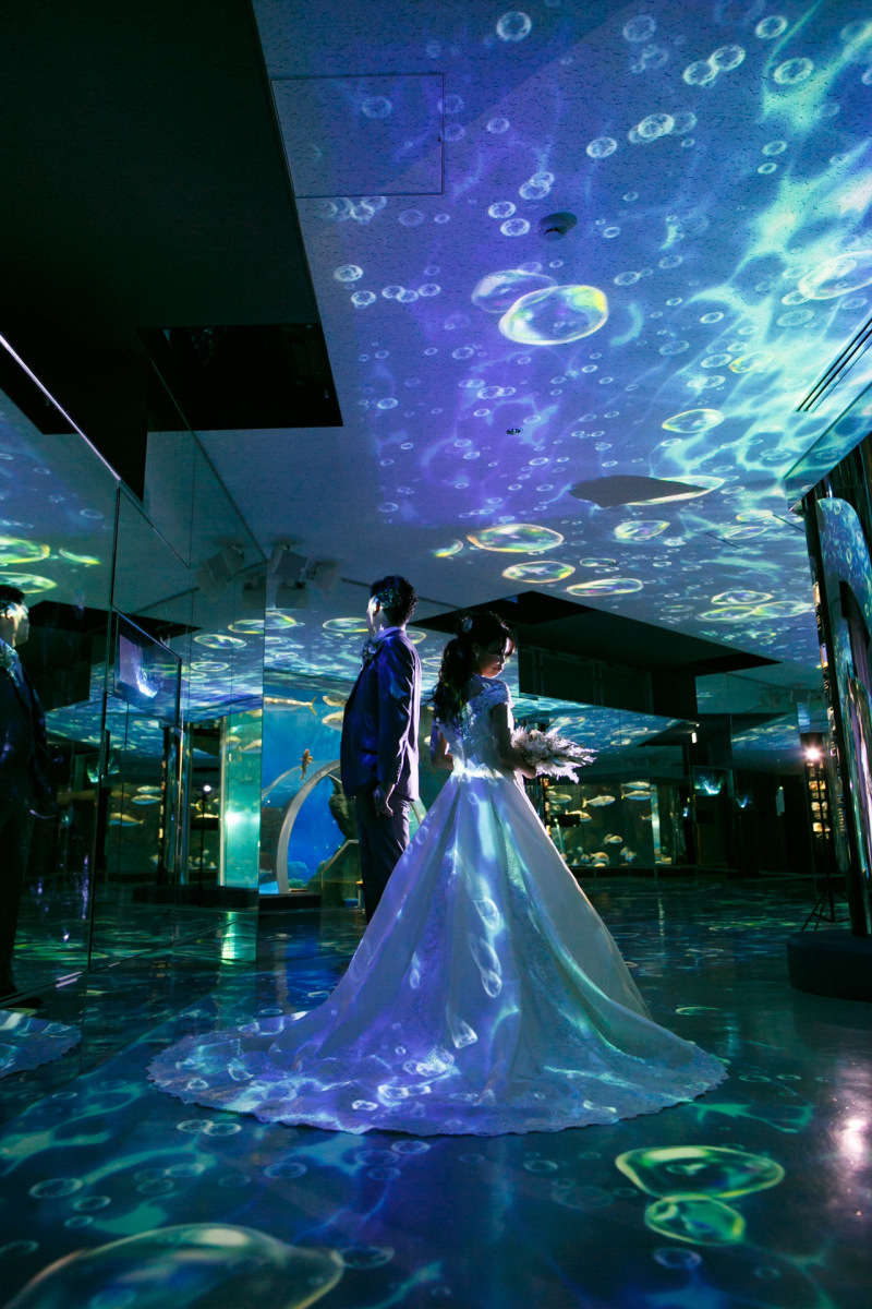 プロジェクションマッピング