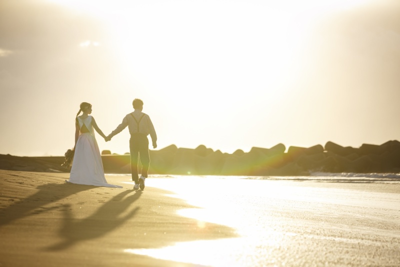 撮影日和になりました！