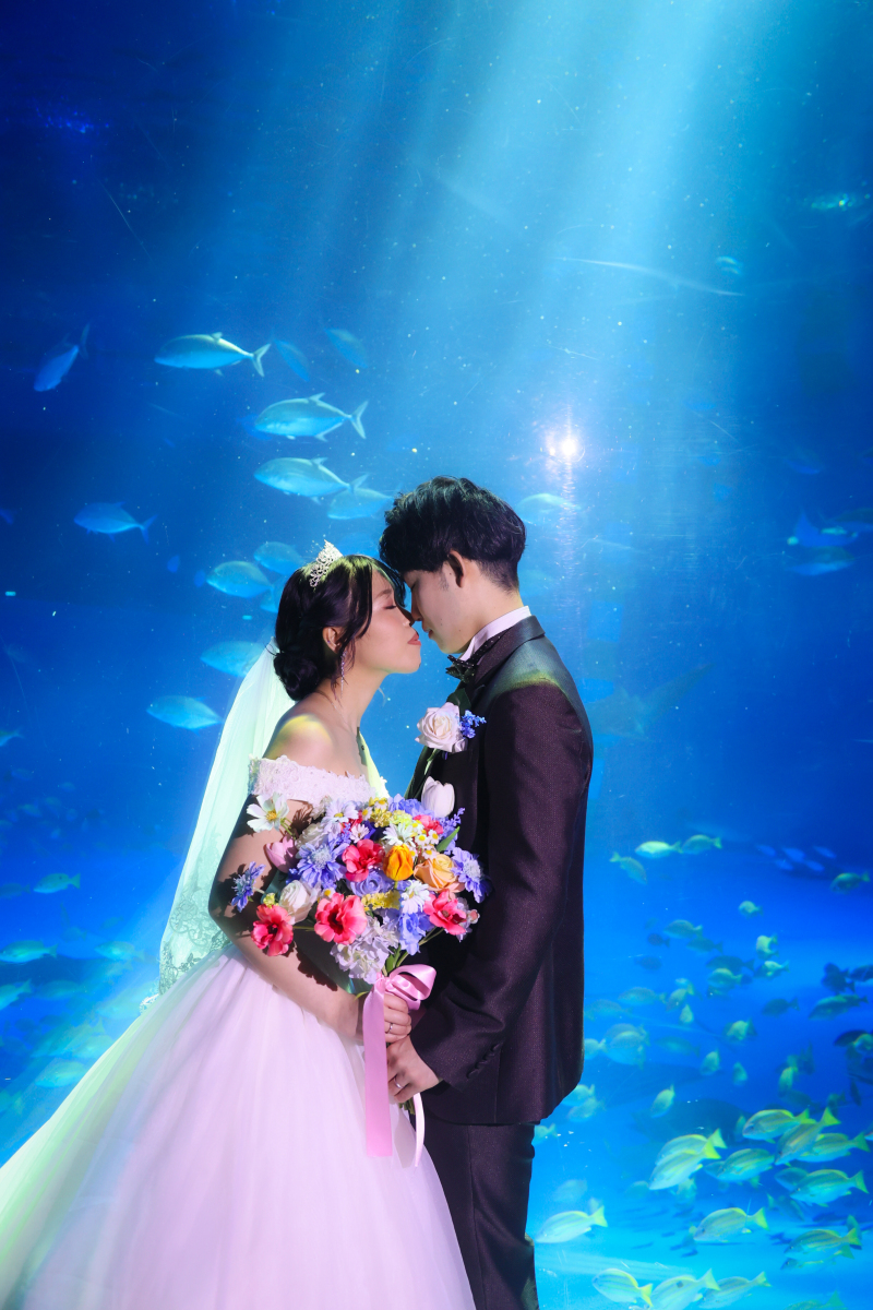 熱帯魚のように