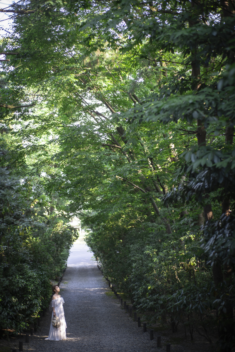 木漏れ日が美しい!