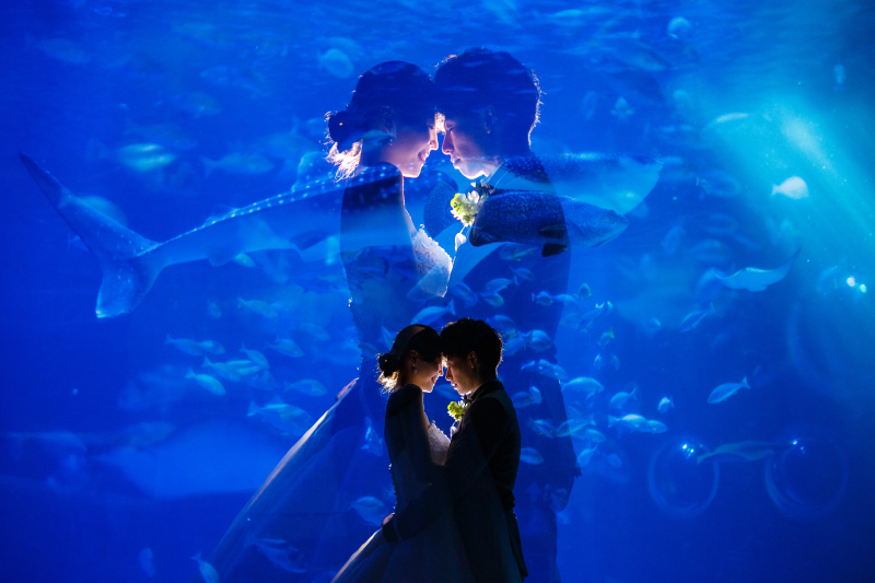 水槽に映し出されたかのように