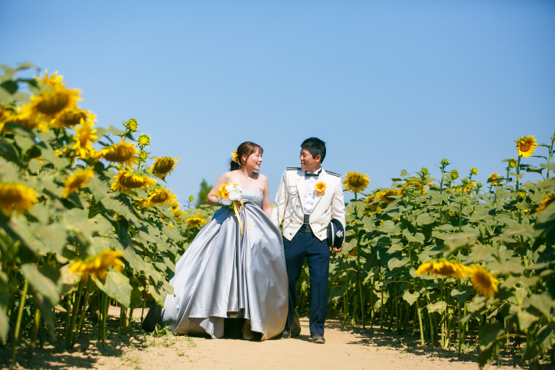 青い空に緑のグラデーションが美しい！