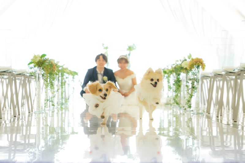 Photo Jellish 金沢店（フォトジェリッシュ 金沢店）_チャペルで撮影できる