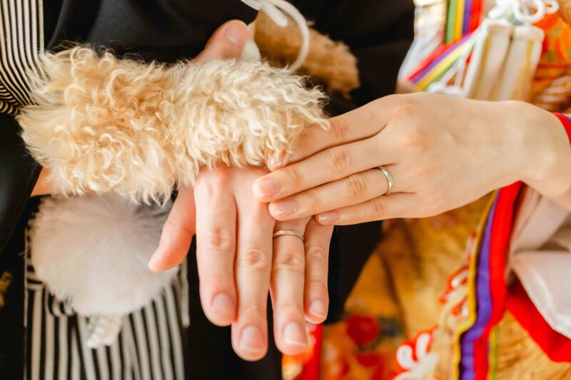 Photo Jellish 金沢店(フォトジェリッシュ 金沢店)_ペットと一緒に撮影できる