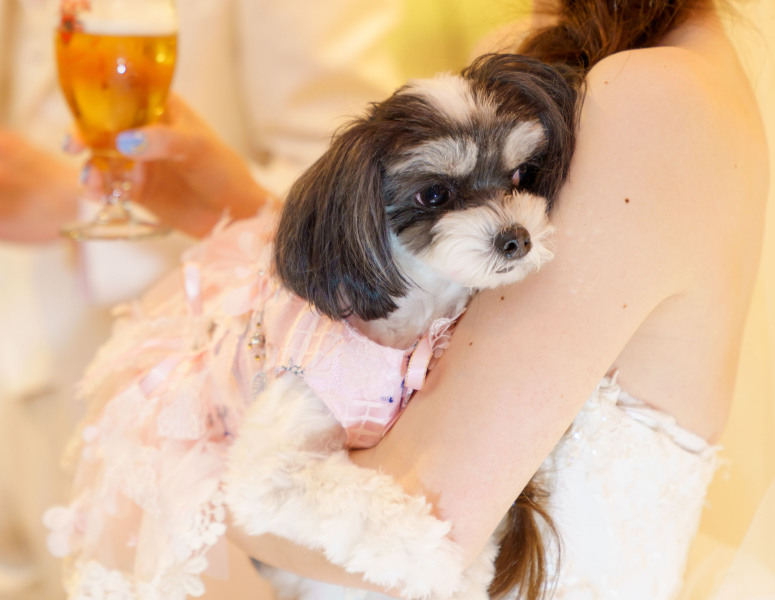 Photo Jellish 金沢店(フォトジェリッシュ 金沢店)_ペットと一緒に撮影できる