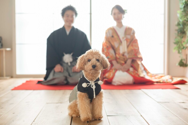 Photo Jellish 金沢店(フォトジェリッシュ 金沢店)_ペットと一緒に撮影できる