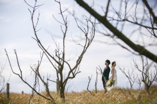 Photo Jellish 金沢店（フォトジェリッシュ 金沢店）_ショートヘアからラプンツェルヘアに変身するまで
