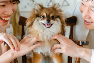 ペットとの撮影