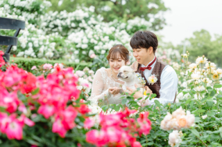 子供とわんちゃんが大好きです♪おふたりのお子様はもちろん、姪っ子、甥っ子の親戚、実家のわんちゃんも大歓迎です。