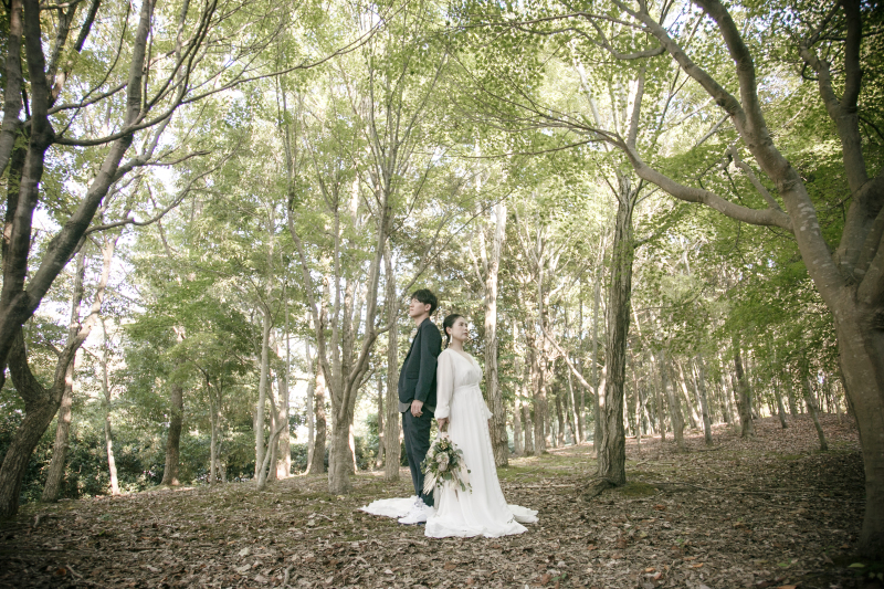 【まるで森のよう♪】大乗寺丘陵公園ロケーションプラン