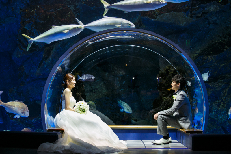 【私たちは能登復興を応援しています!】のとじま水族館貸切フォトプラン