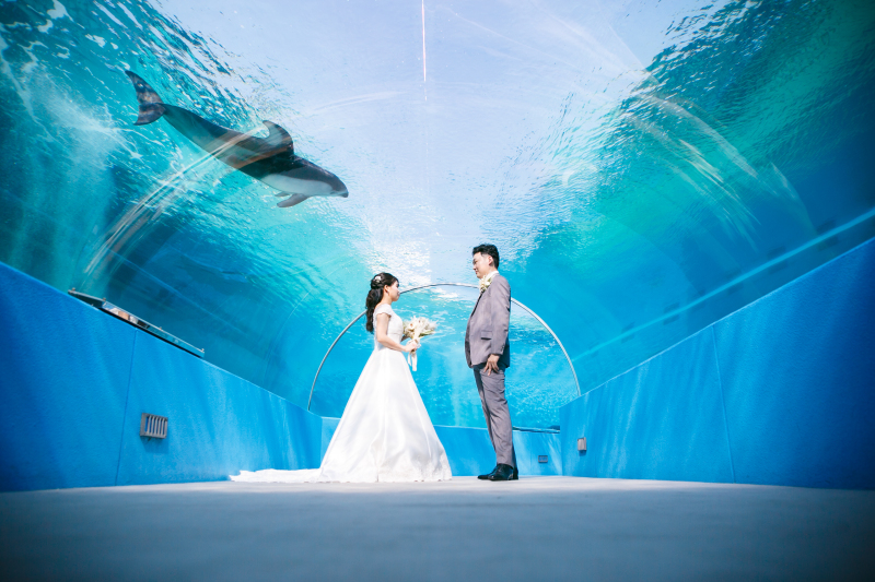 【私たちは能登復興を応援しています!】のとじま水族館貸切フォトプラン