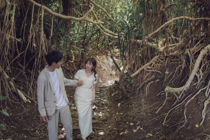 アポガマで植物と