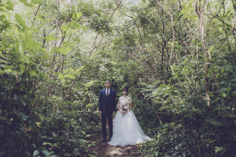 森撮影からスタート