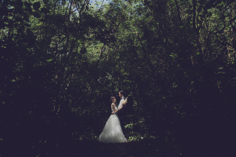 最後は神秘的なショット