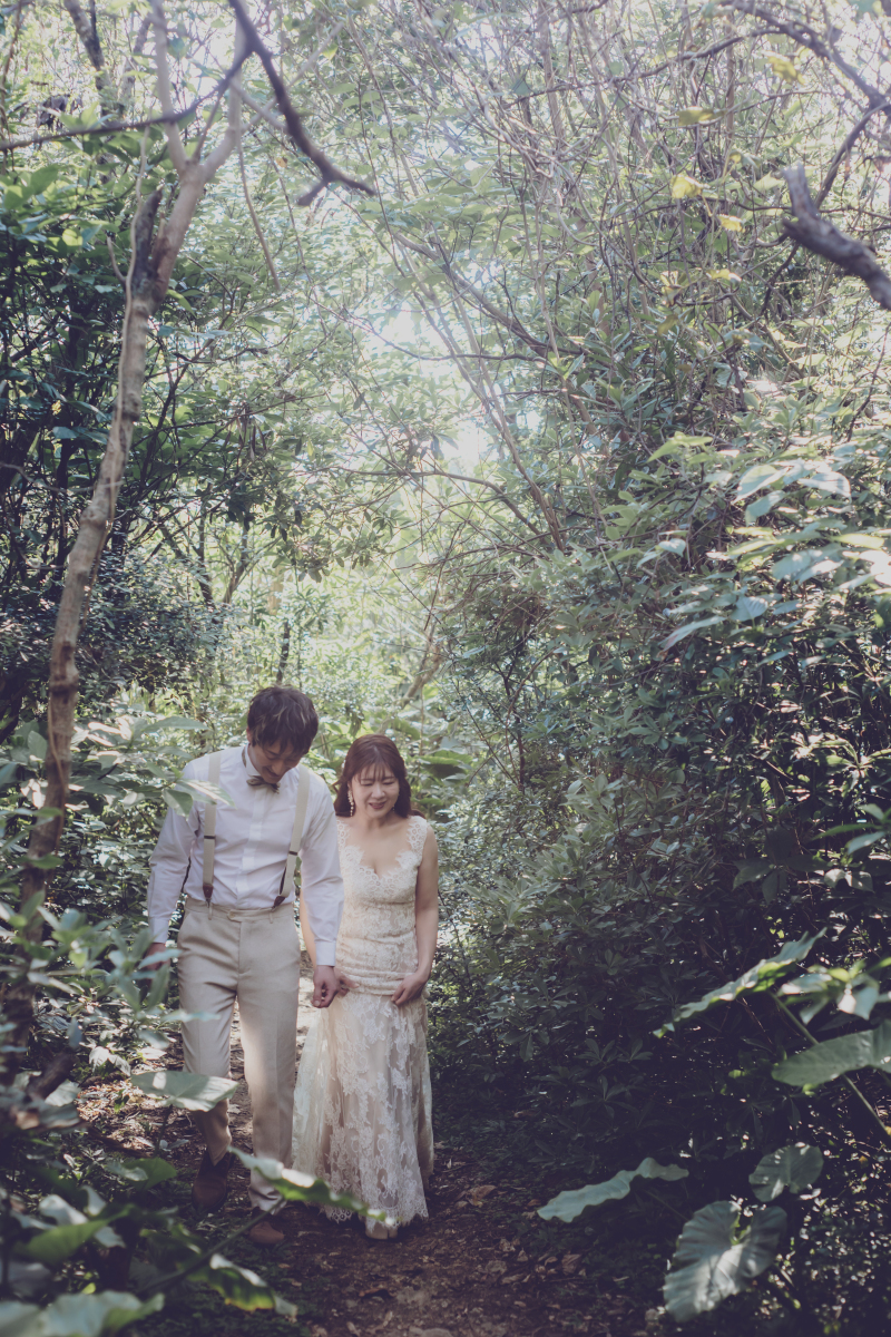 木漏れ日が綺麗な森撮影