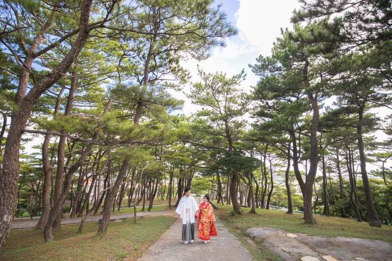 和装&洋装パーフェクトプラン