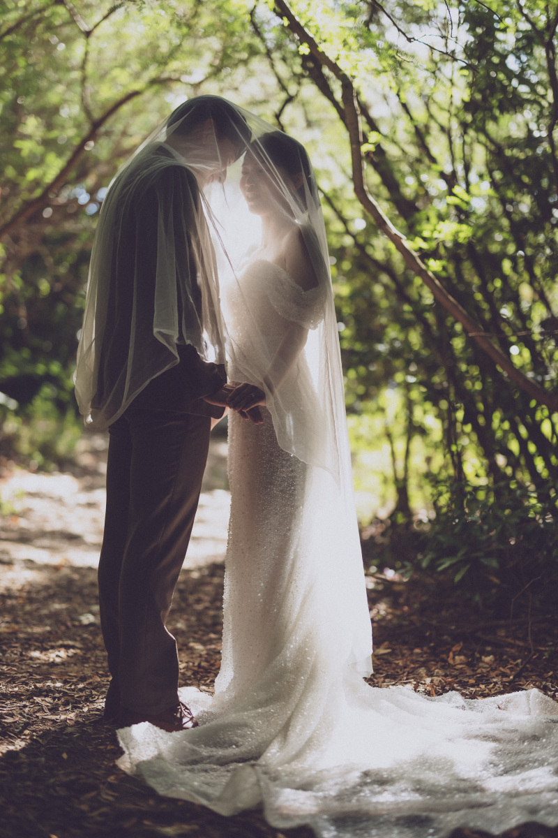 森からスタート