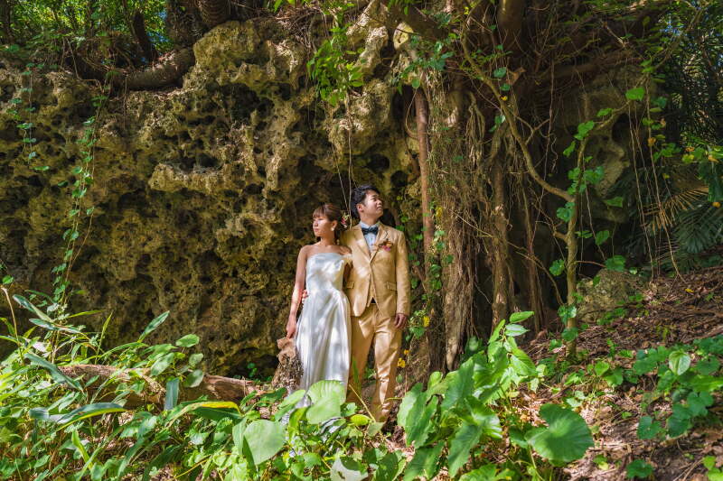 ガジュマル(新しい撮影スポット)