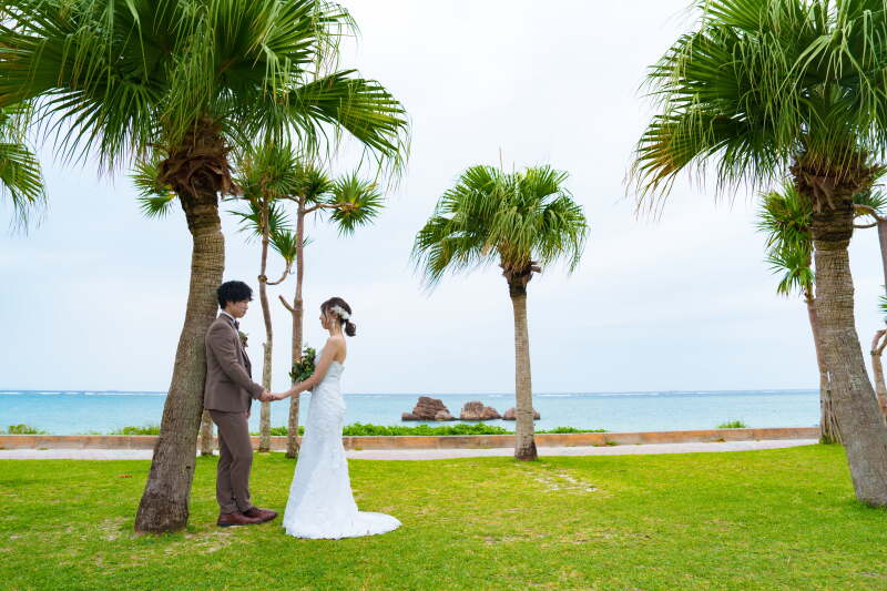 ヤシの木の下で