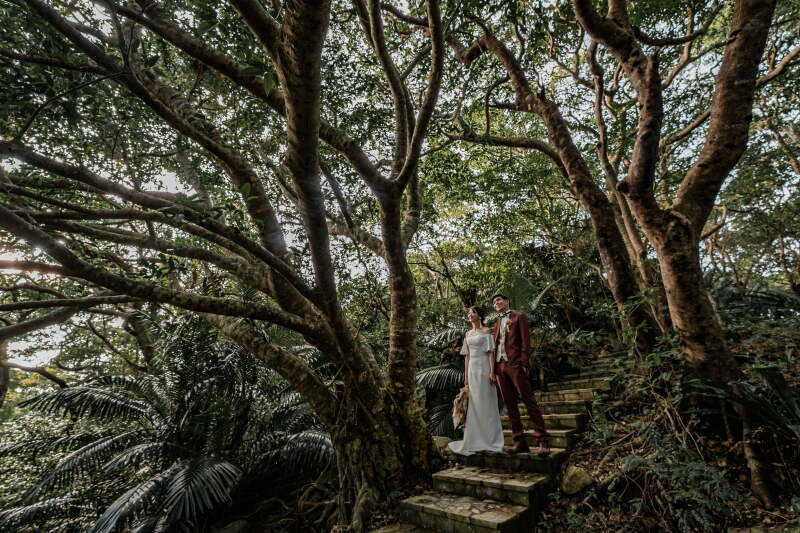 もはやジブリ！