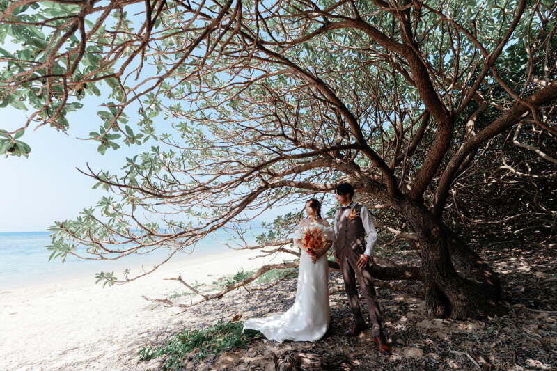 木陰でリラックス