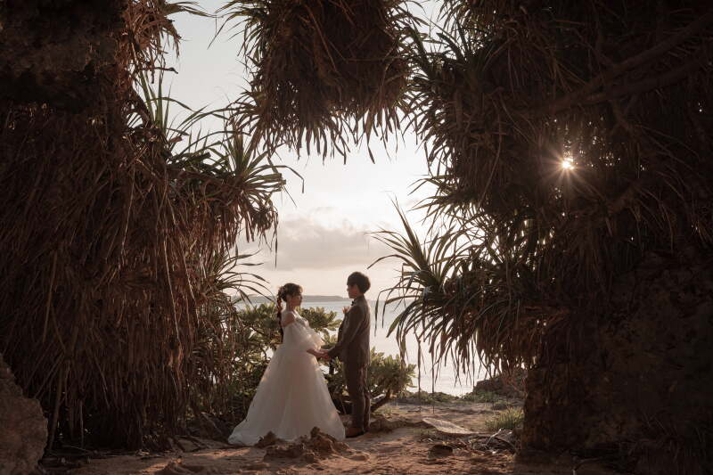 ベストコンディション！