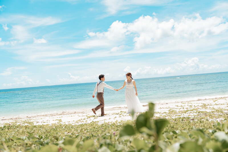 じゃれ合うお二人