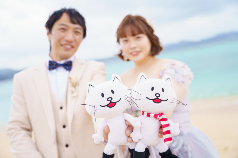 猫ちゃん