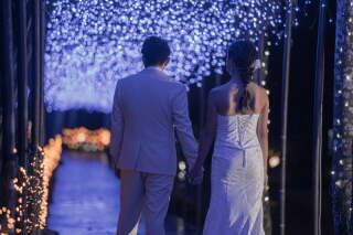 ビーチと緑とネオン