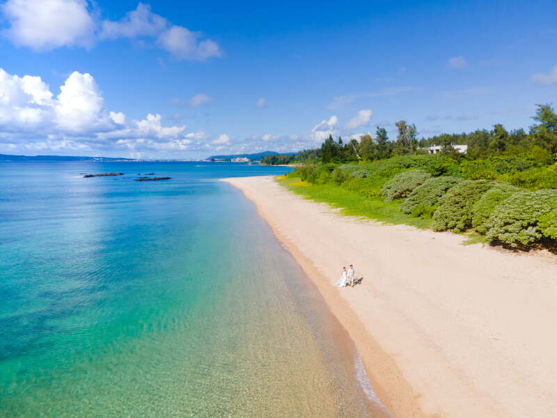 ドローン写真！