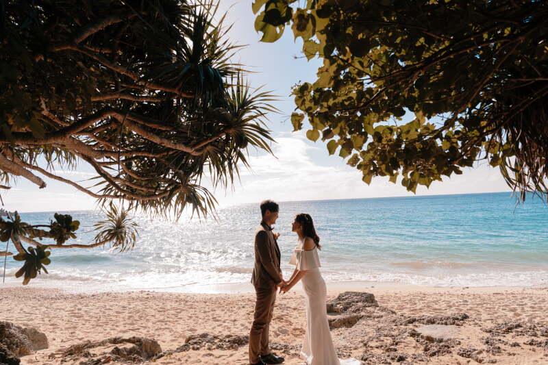 海&times;緑&times;逆光