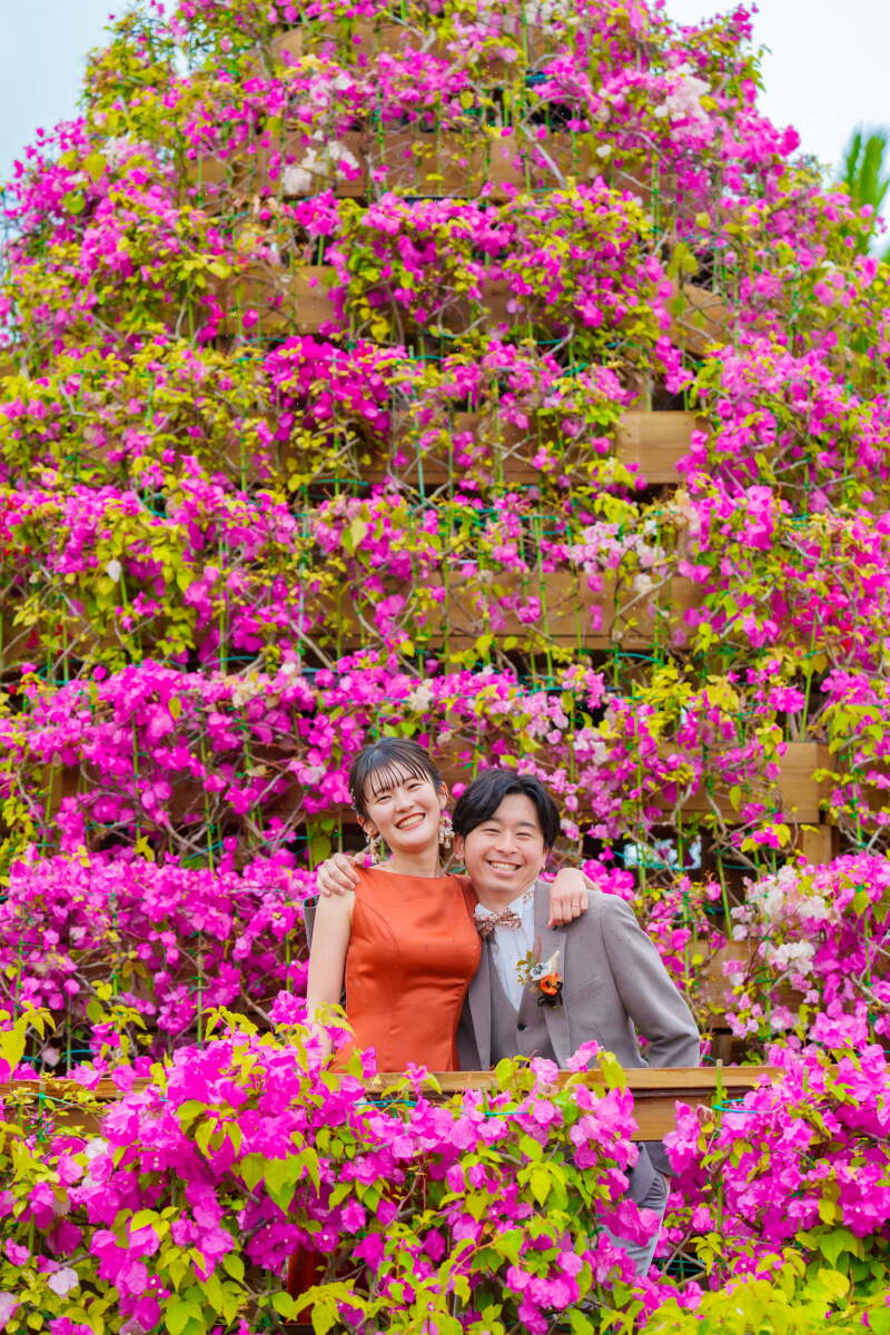 鮮やかなブーゲンビリア