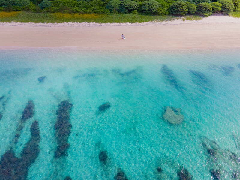 透明度