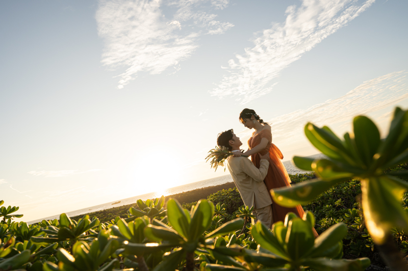 夕日に照らされて