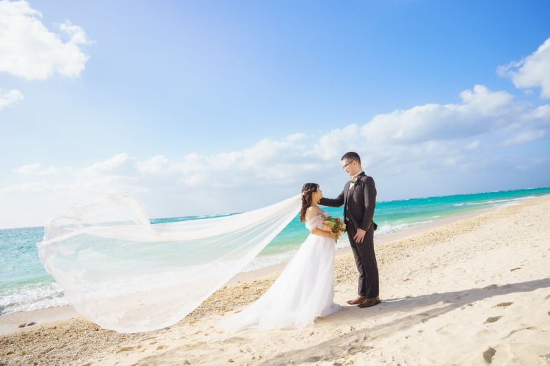 ベールショット