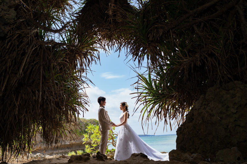 アダンのフレーム